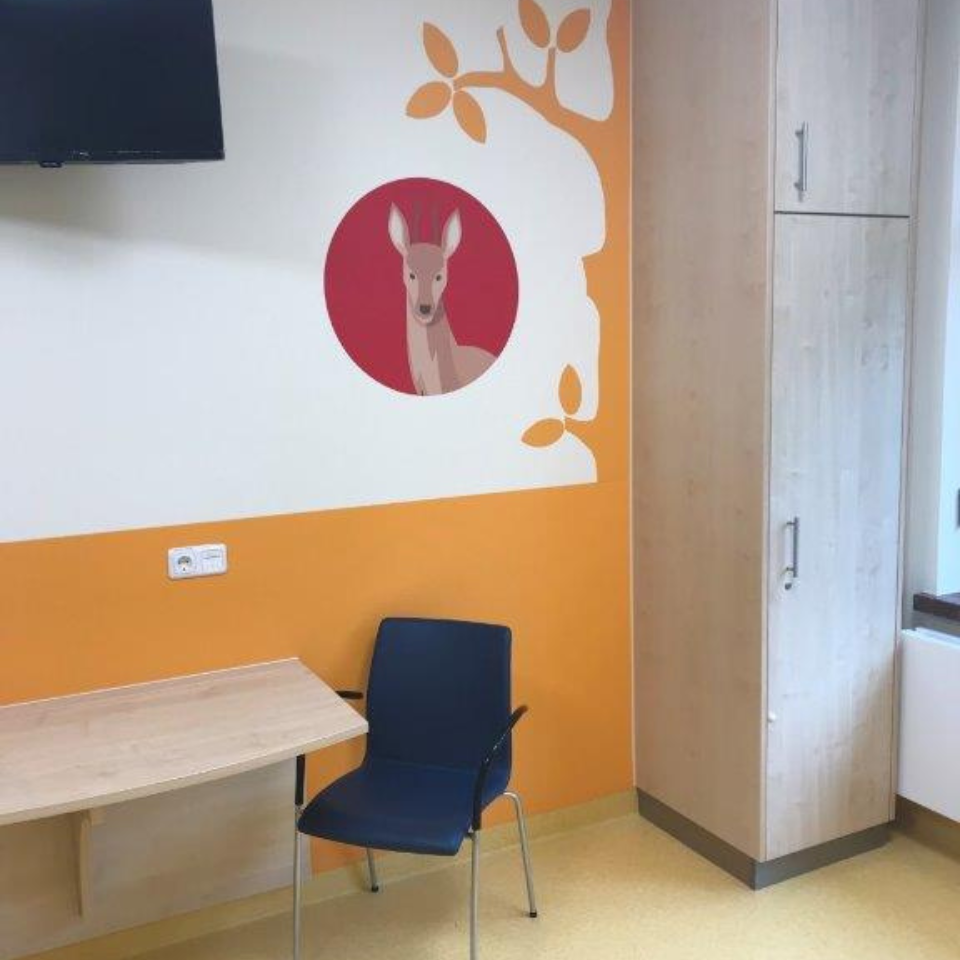 Wandschutz als Küchenrückwand links und Wandschutz im Essbereich rechts