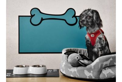 Wandschutz für Hunde und Katzen