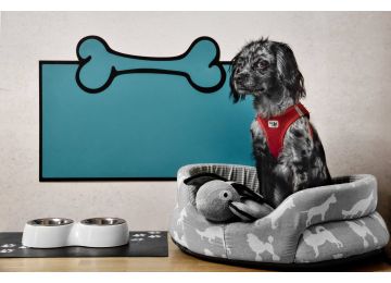 Hundewandschutz - DogProtect