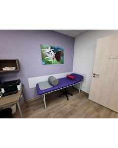Wandschutz hinter Behandlungsliege