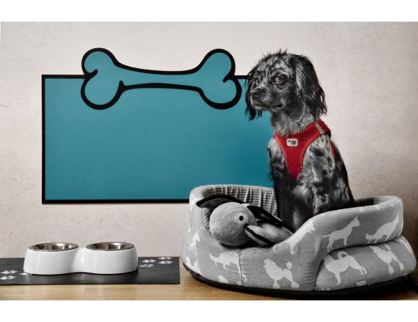 Hundewandschutz - DogProtect