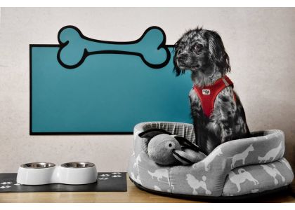 Hundewandschutz - DogProtect